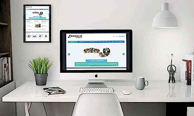 Baykullar Rulman Web Tasarımı